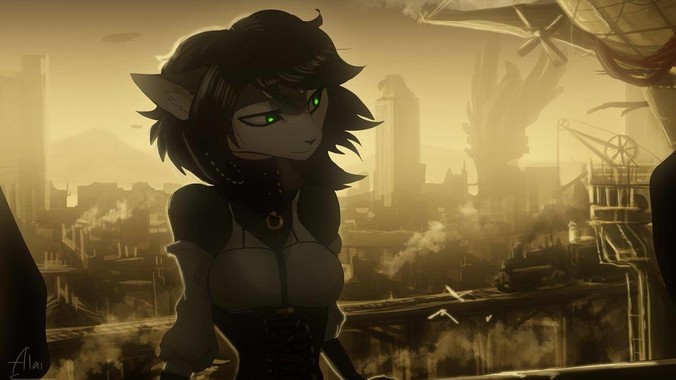 如何评价《谭谈交通》这档节目？